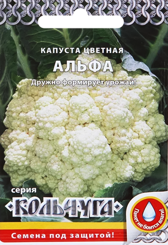 

Семена РУССКИЙ ОГОРОД Капуста цветная Альфа