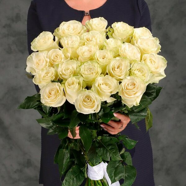 Букет из 25 роз Эквадор белые 50 см