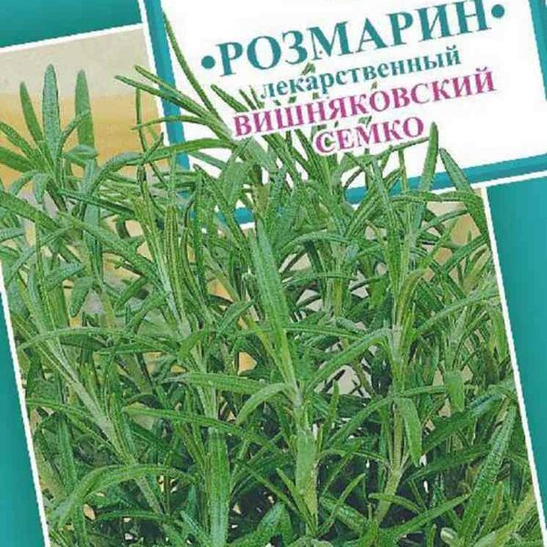 Розмарин лекарственный Вишняковский Семко Гавриш