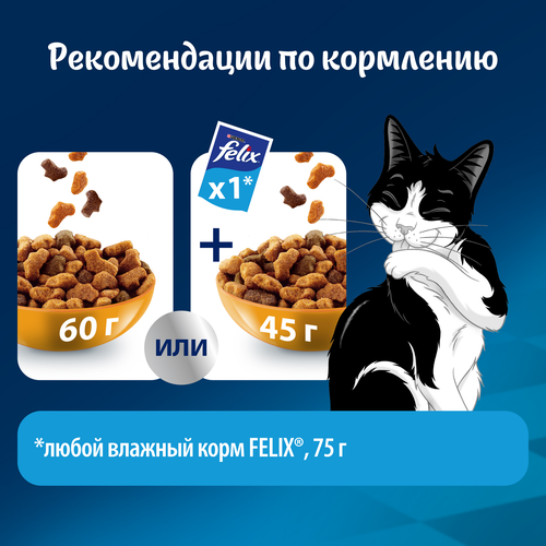 

Сухой корм для кошек Felix Мясное объедение с курицей 600 г