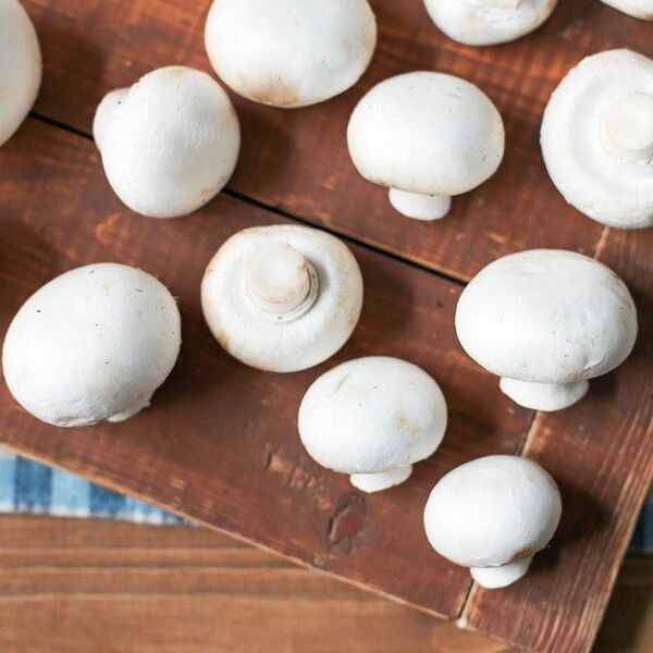 Грибы Шампиньоны свежие