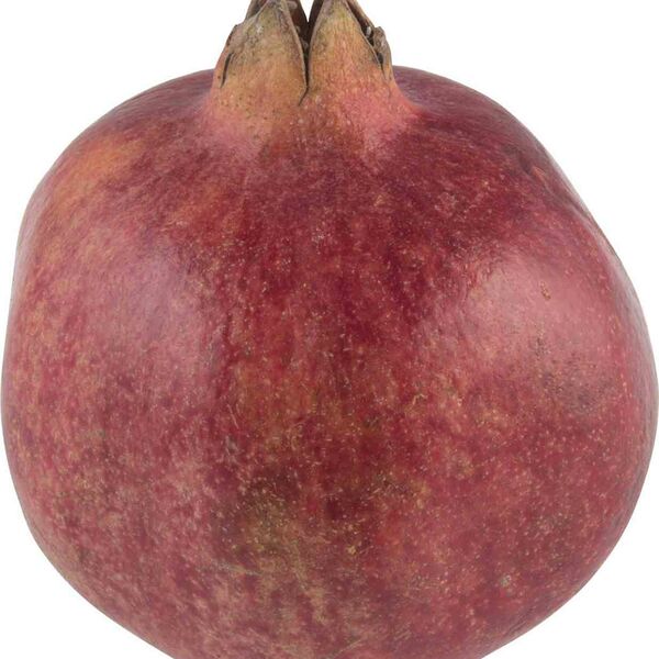 Гранат отборный Honey Crunch вес