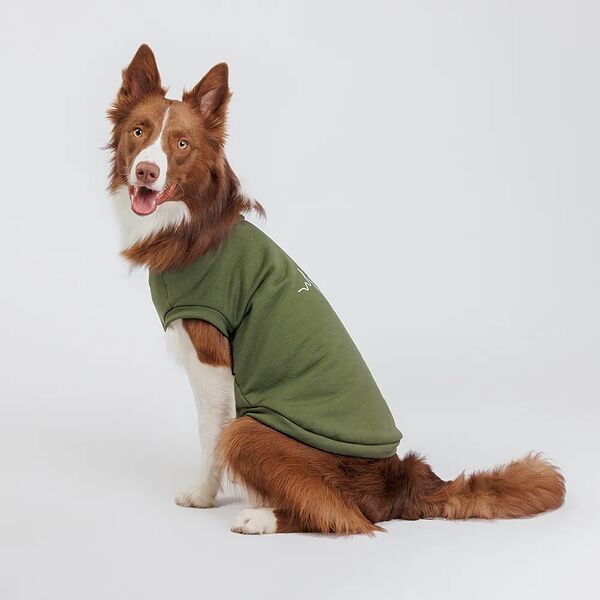 Толстовка Rurri для собак, 3XL, зеленая