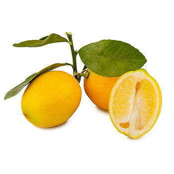 Лимоны с листочками