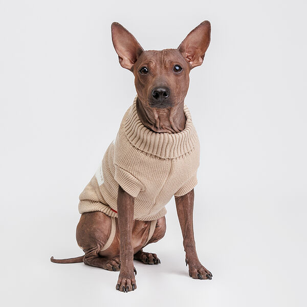 Свитер с пандой для собак, 45 см, бежевый
