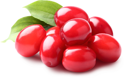 

Кизил красный 500 г