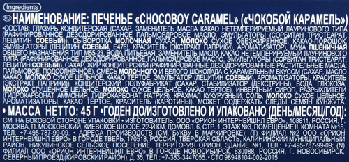 

Печенье Orion Choco Boy Caramel 45 г