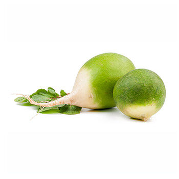 Редька зеленая весовая