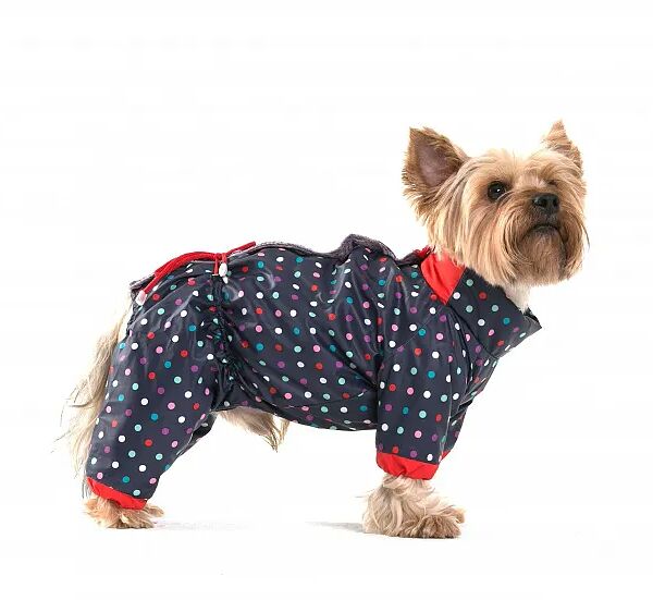 Комбинезон для собак ТикТак S (мальчик)