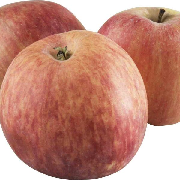 Яблоки Лигал фасованные