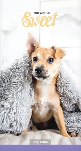 

Блокнот ArtSpace домашние любимцы, А6, 24 листа, на скрепке, в ассортименте