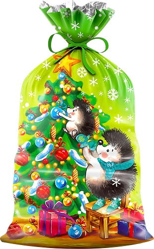 Пакет подарочный 25x40см, в ассортименте