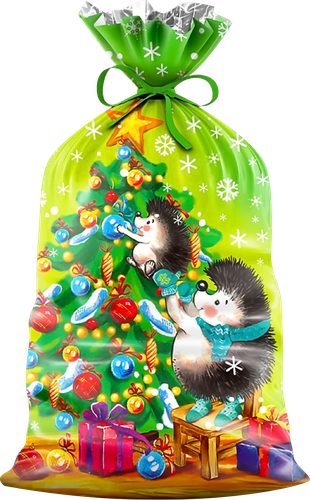 

Пакет подарочный 25x40см, в ассортименте