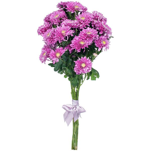 Букет цветов из Хризантема 