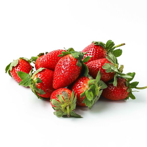 Клубника Крым очень сладкая