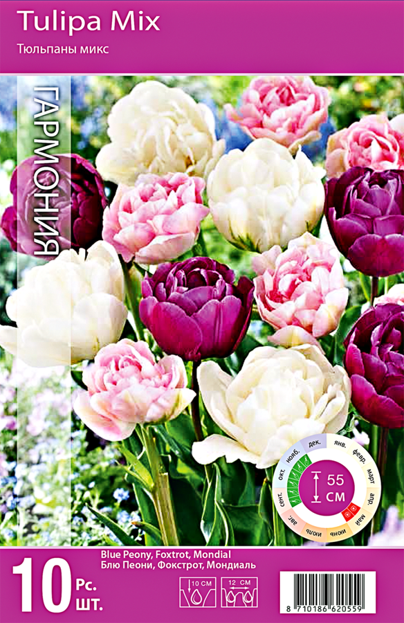 

Луковицы Тюльпаны микс Гармония 10/11, Арт. 106, 10шт