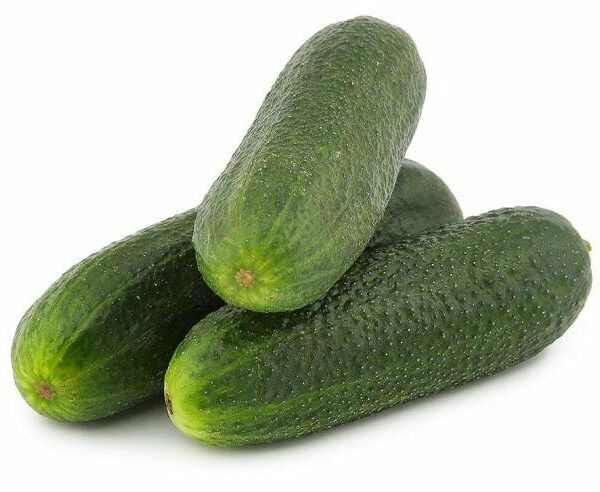 Огурцы мелкопупырчатые