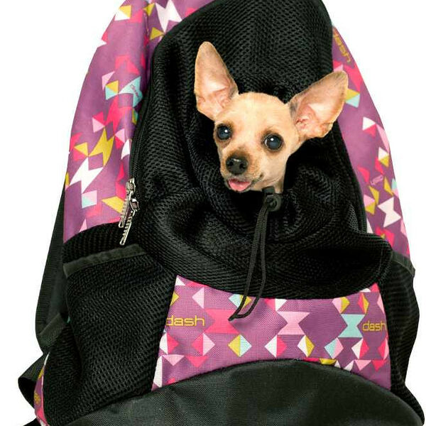 ZooExpress  Рюкзак-переноска 35*18*40 см 