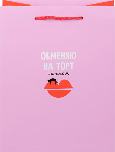 

Пакет подарочный ARTSPACE Нормальный подарок, 18х23х10см