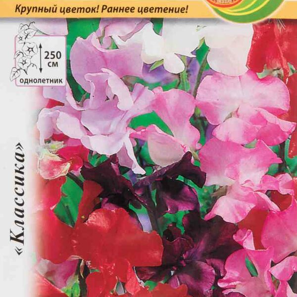 Семена душистый горошек Формула любви Русский Огород смесь, 10 шт.