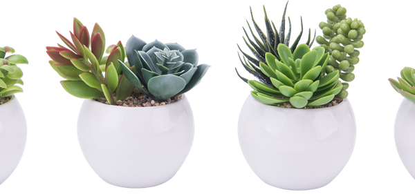 Растение искусственное в горшке Суккулент, Арт. WPF202004