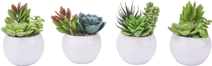 

Растение искусственное в горшке Суккулент арт. WPF20200 1шт в ассортименте