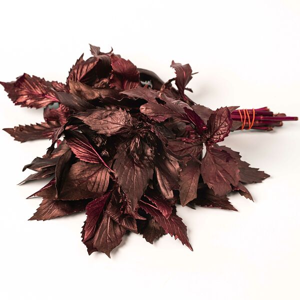 Базилик красный