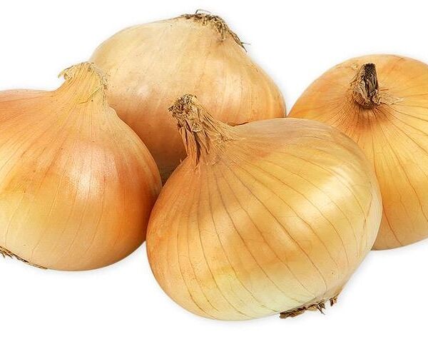 Лук репчатый