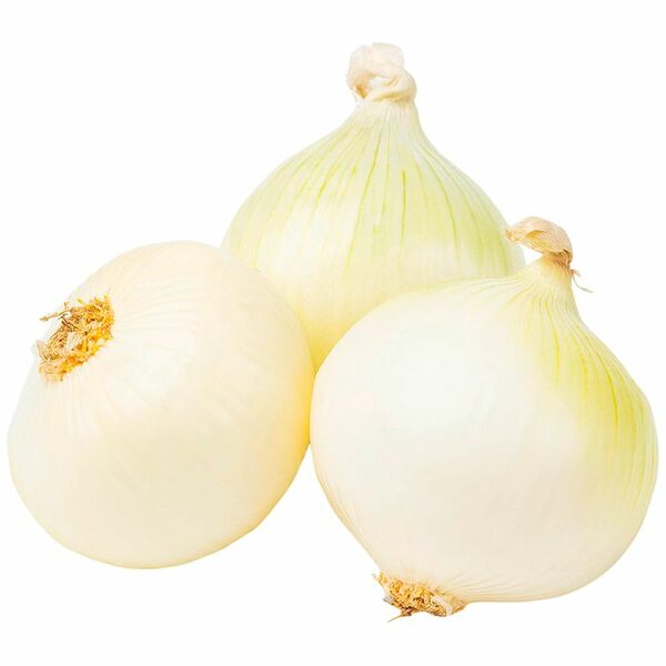 Лук репчатый белый