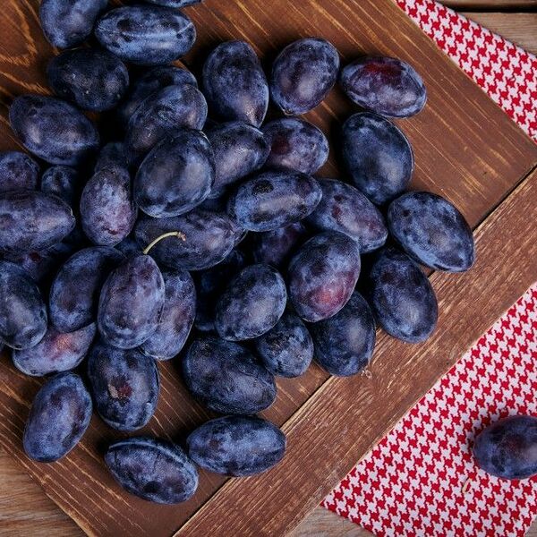 Слива чернослив