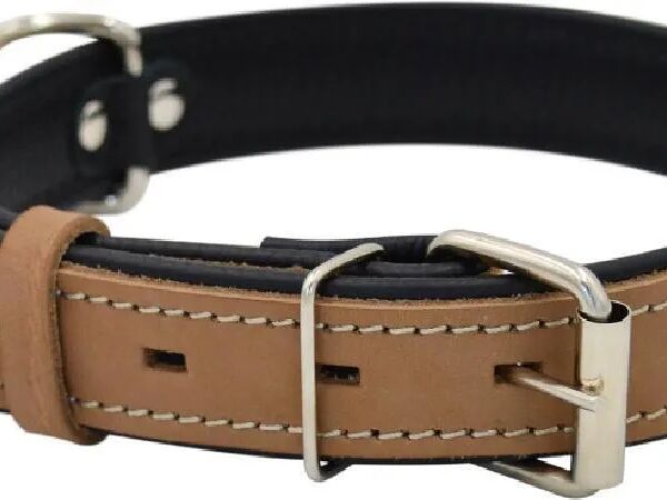 Ошейник Zooexpress HIGHT LINE 15 мм без украшений длина до 32 см бежевый