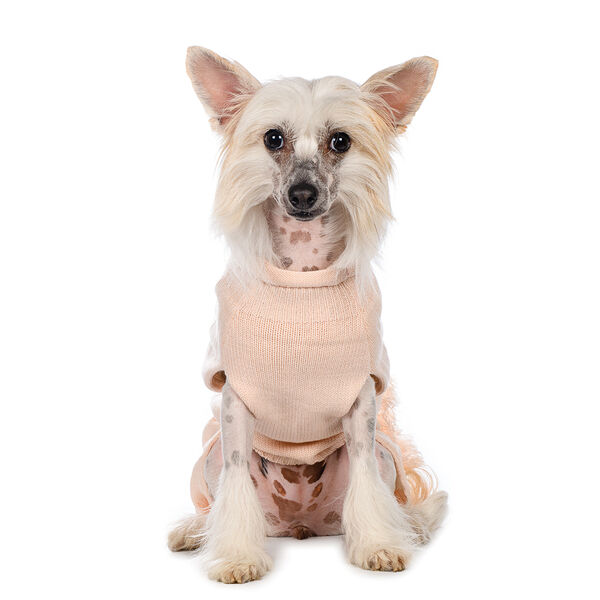 Свитер для собак XL розовый (унисекс)