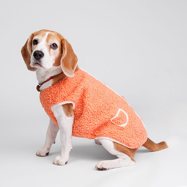 Жилетка-пальто для собак, L, оранжевая