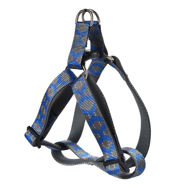 Шлейка для собак FOXIE Reflect M 1,9x40-60см c синими полосками