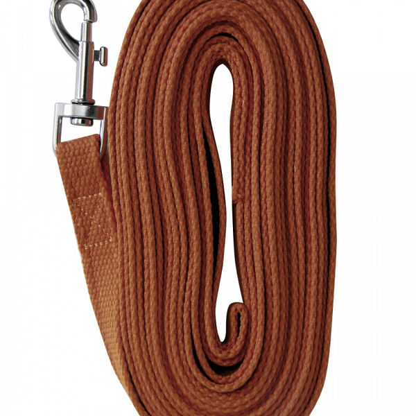 Поводок для собак брезентовый ЗООНИК коричневый 7м*20мм