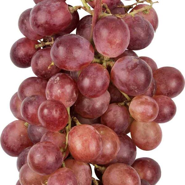 Виноград красный с косточками