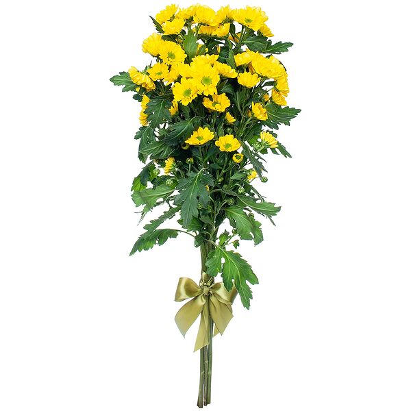 Букет цветов из Хризантема 