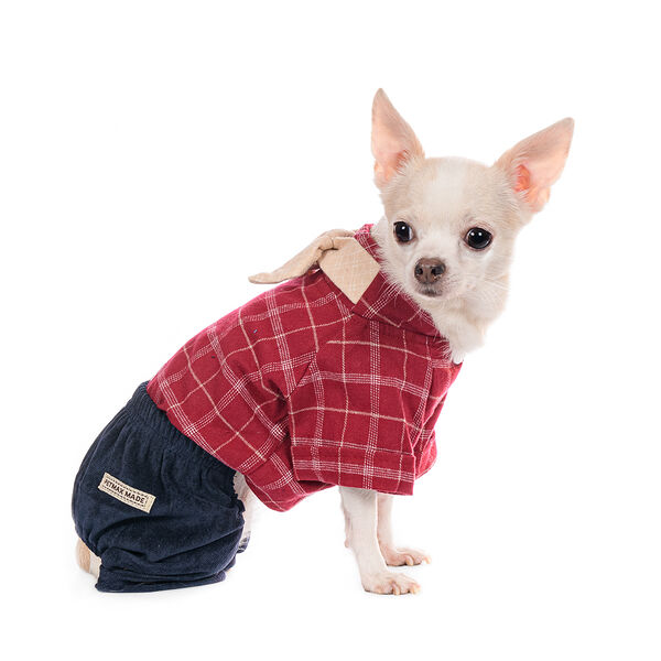 Костюм с галстуком для собак XS красный (унисекс)