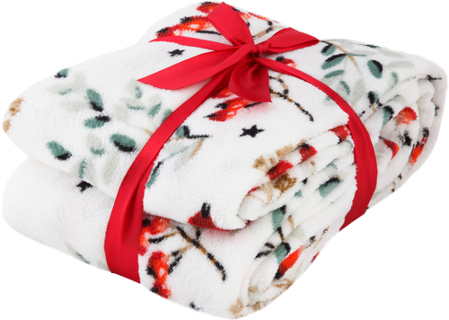 

Плед HOMECLUB Christmas Magic 200x220см, коралл GBKCF-1820-12, Арт. WI-CM3