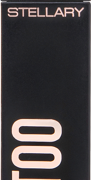 Устойчивые жидкие тени для век Stellary Long Lasting Eyetattoo 04 4 мл