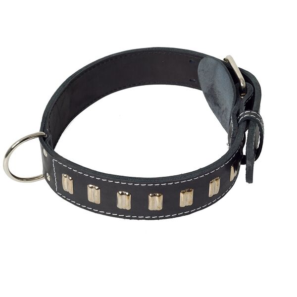 Ошейник для собак крупных пород, двойной, кожаный, черный с металлическим украшением 45 мм