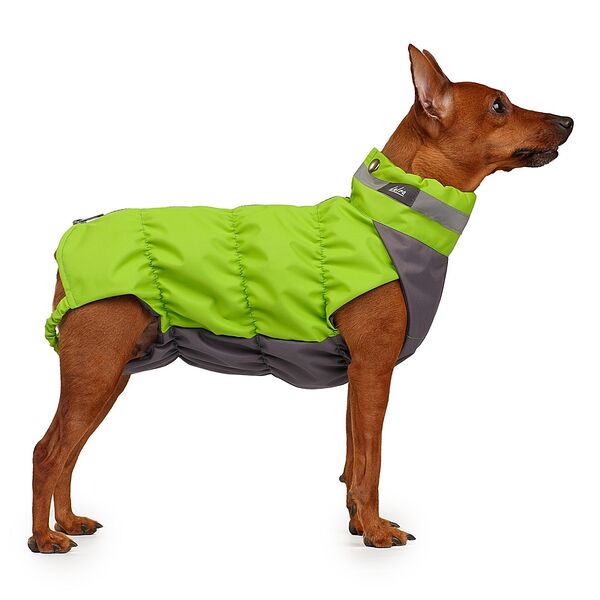 Жилетка весенняя для собак Крокодил, длина спины 28, обхват груди 50, M салатовый (девочка)
