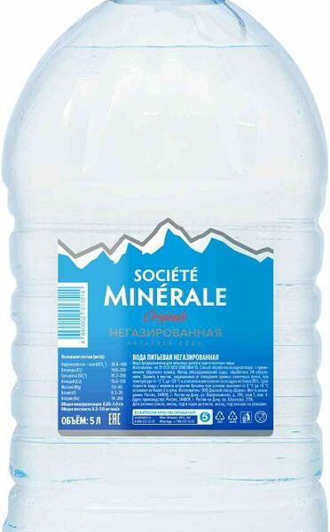 Вода артезианская Societe Minerale питьевая негазированная 5л