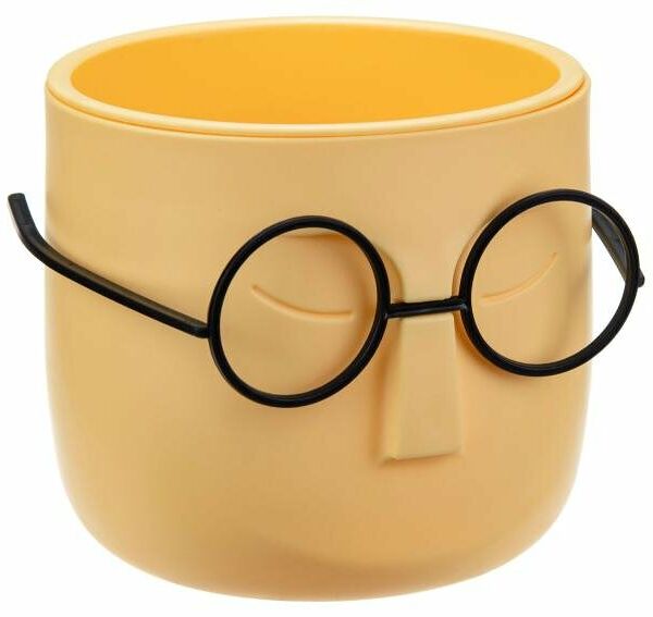 Кашпо Idea Стив со вставкой, d 11,5 см