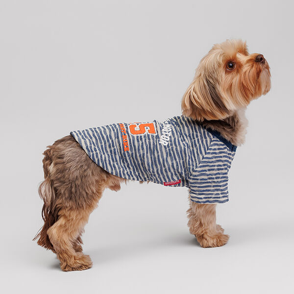 Футболка для собак, S, синяя в полоску
