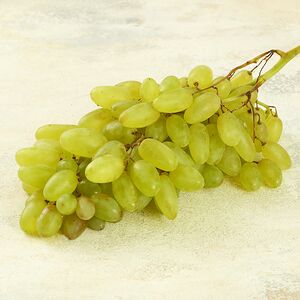 Виноград Хусаин