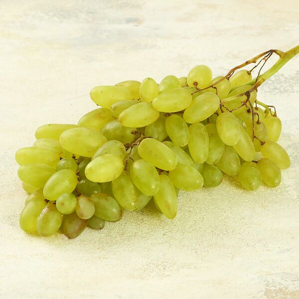 Виноград Хусаин