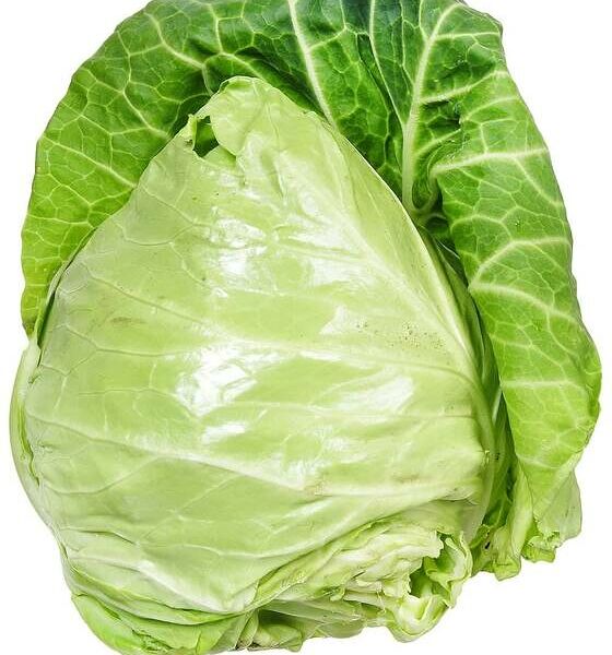 Капуста молодая