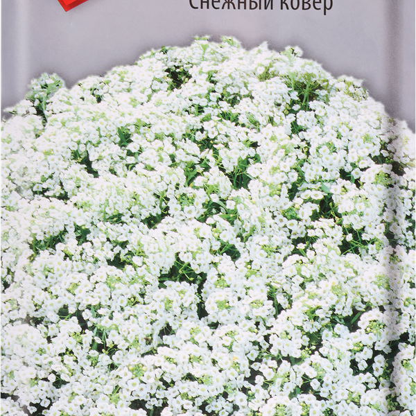 Семена ПОИСК Алиссум Снежный ковер, 0,3г