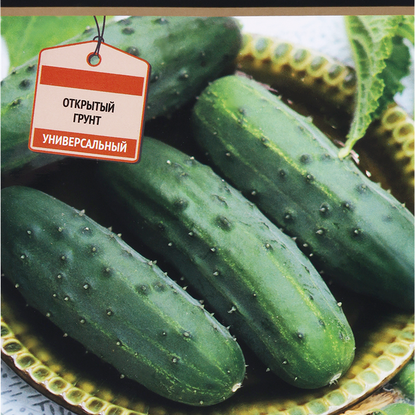 Семена ПОИСК Авторские сорта и гибриды, Огурец Кустовой, 15шт